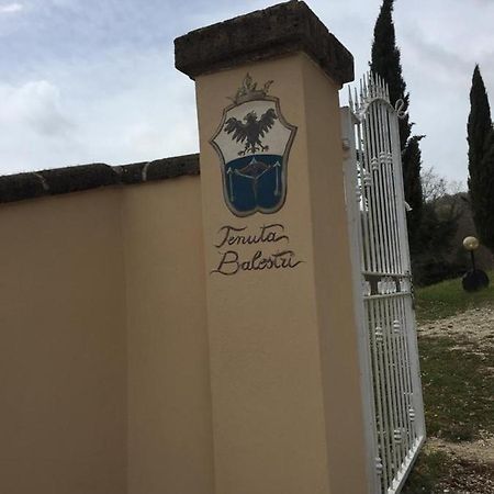 Podere Poggio Lupinaio San Martino sul Fiora Экстерьер фото