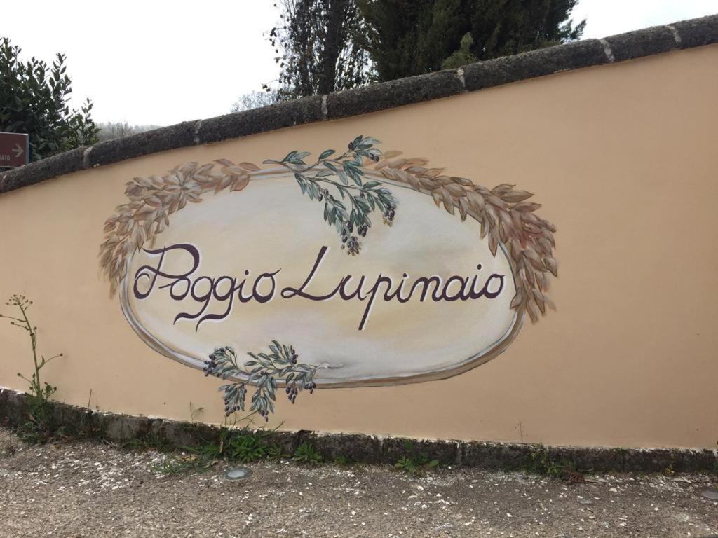 Podere Poggio Lupinaio San Martino sul Fiora Экстерьер фото