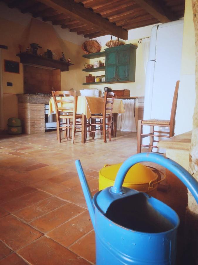 Podere Poggio Lupinaio San Martino sul Fiora Экстерьер фото